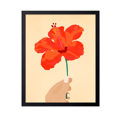 Hibiscus Affection