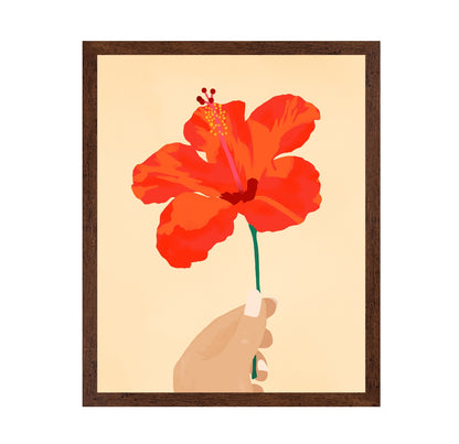 Hibiscus Affection