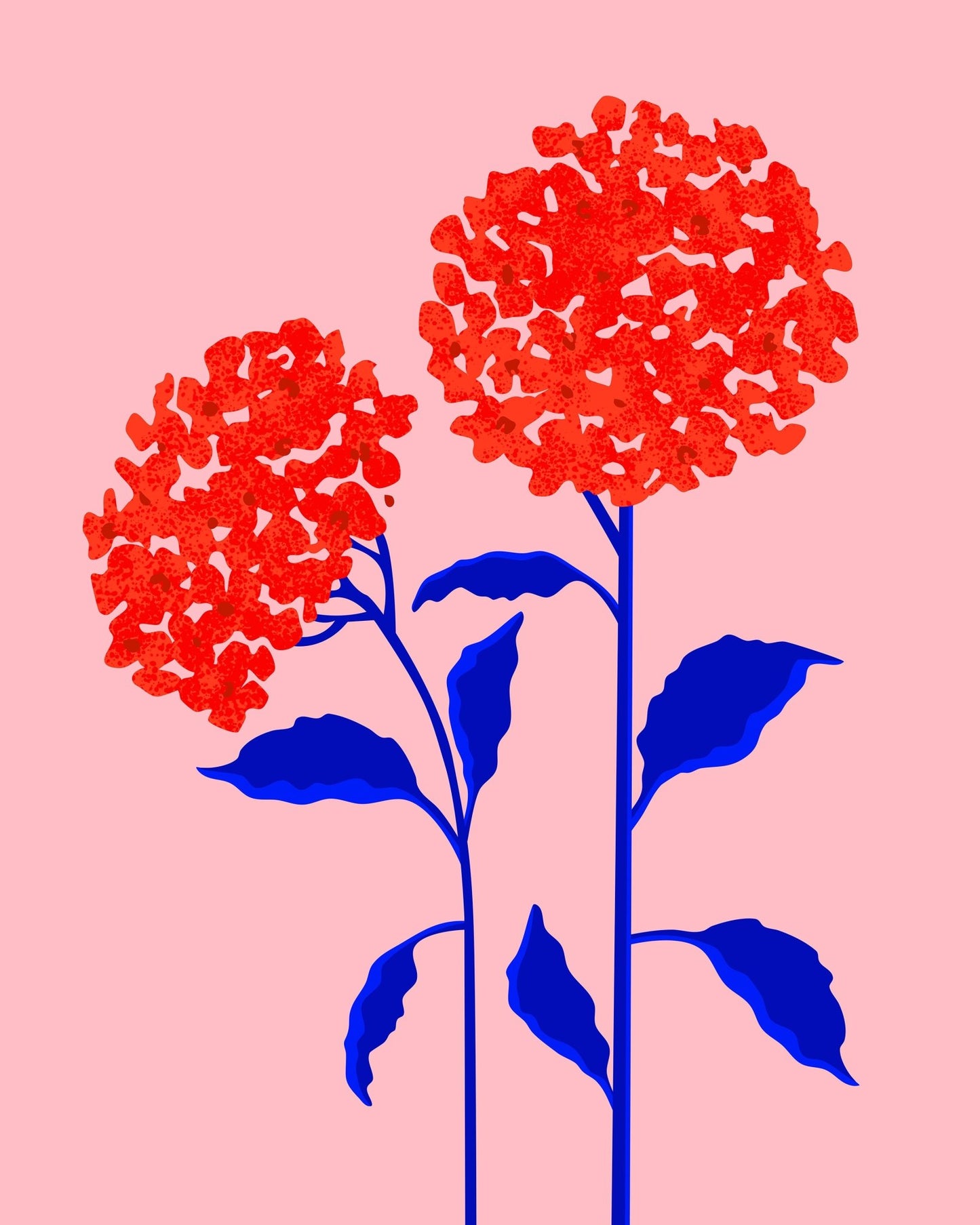 Orange Blossoms