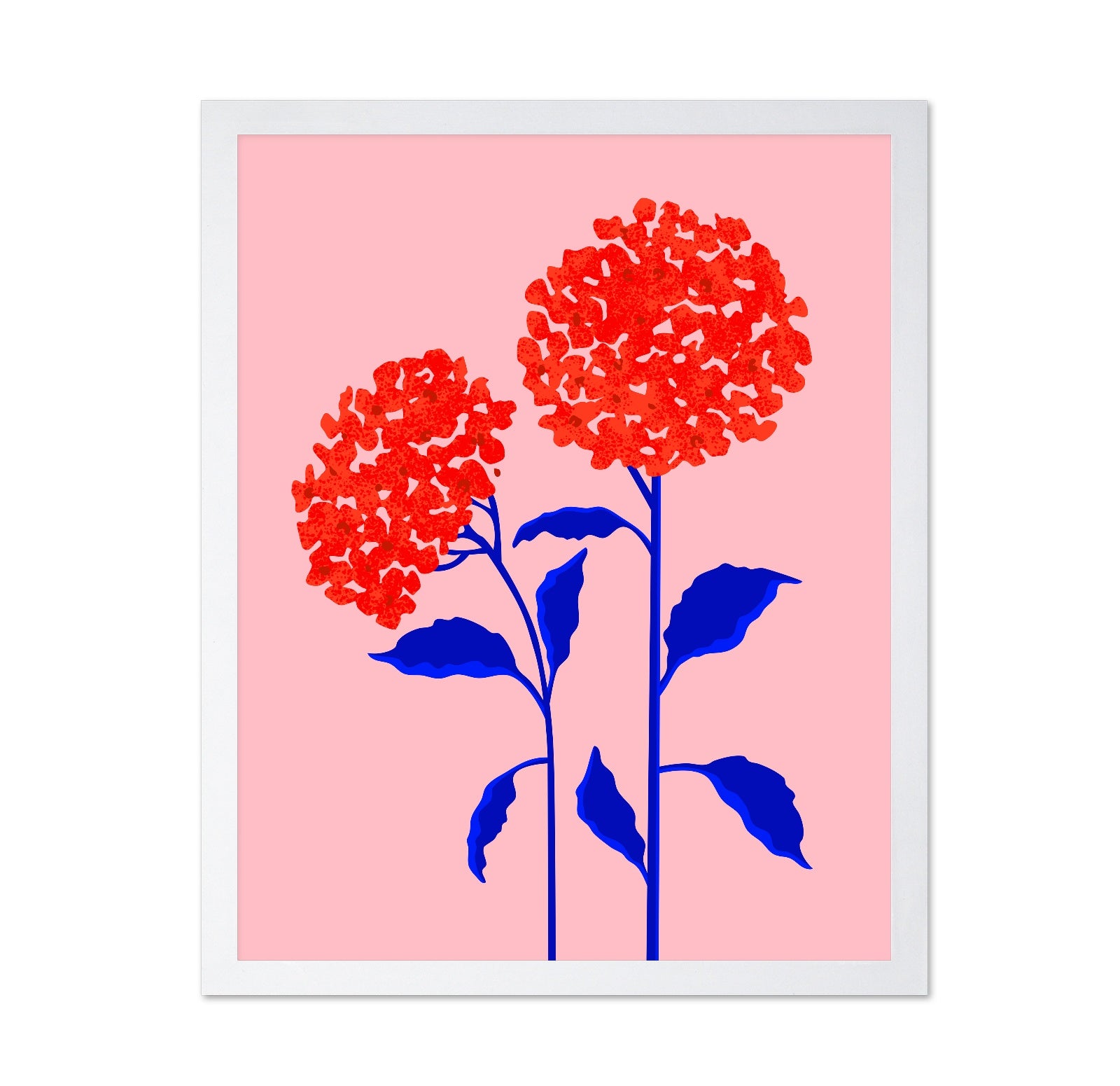 Orange Blossoms