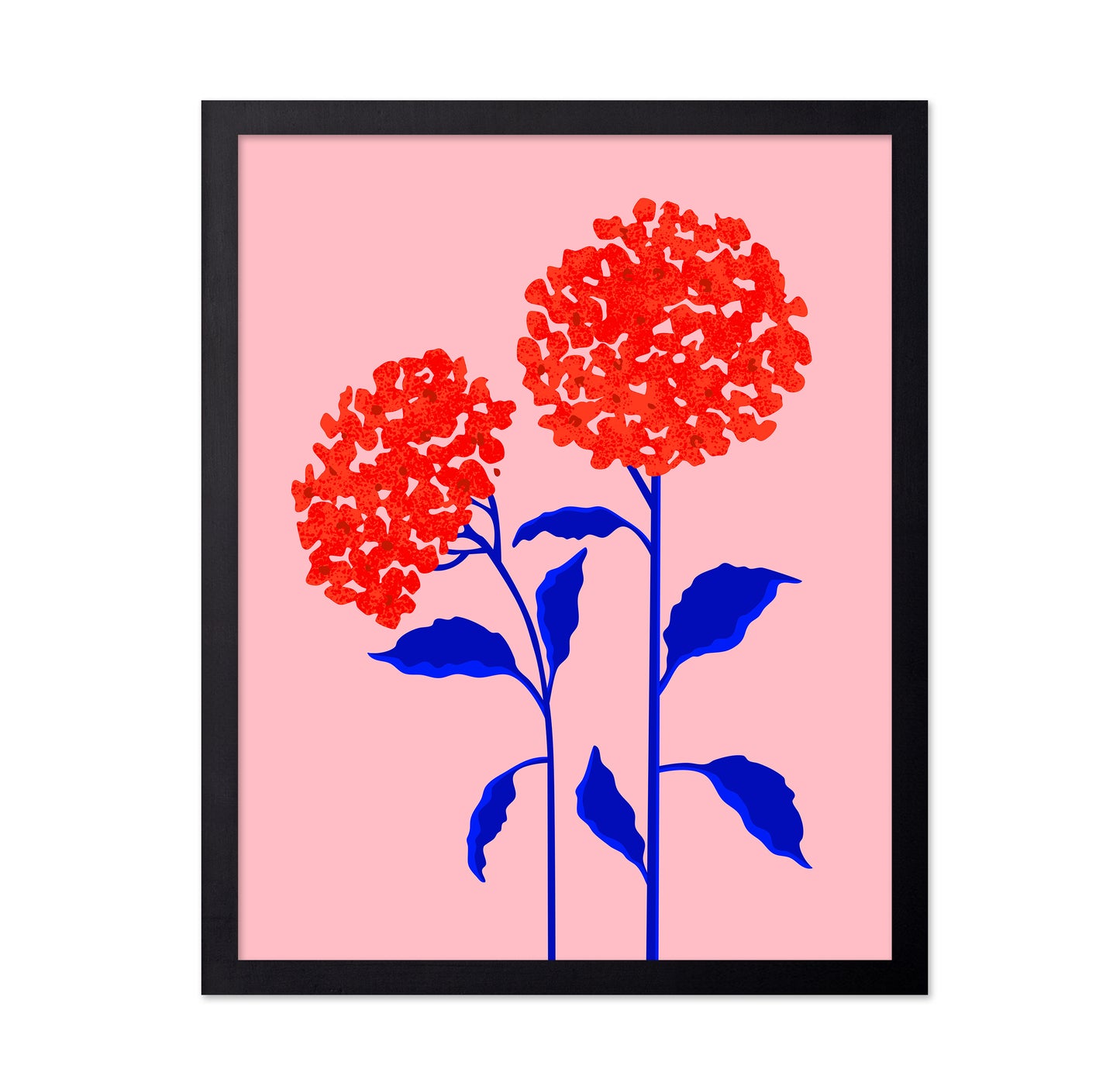 Orange Blossoms