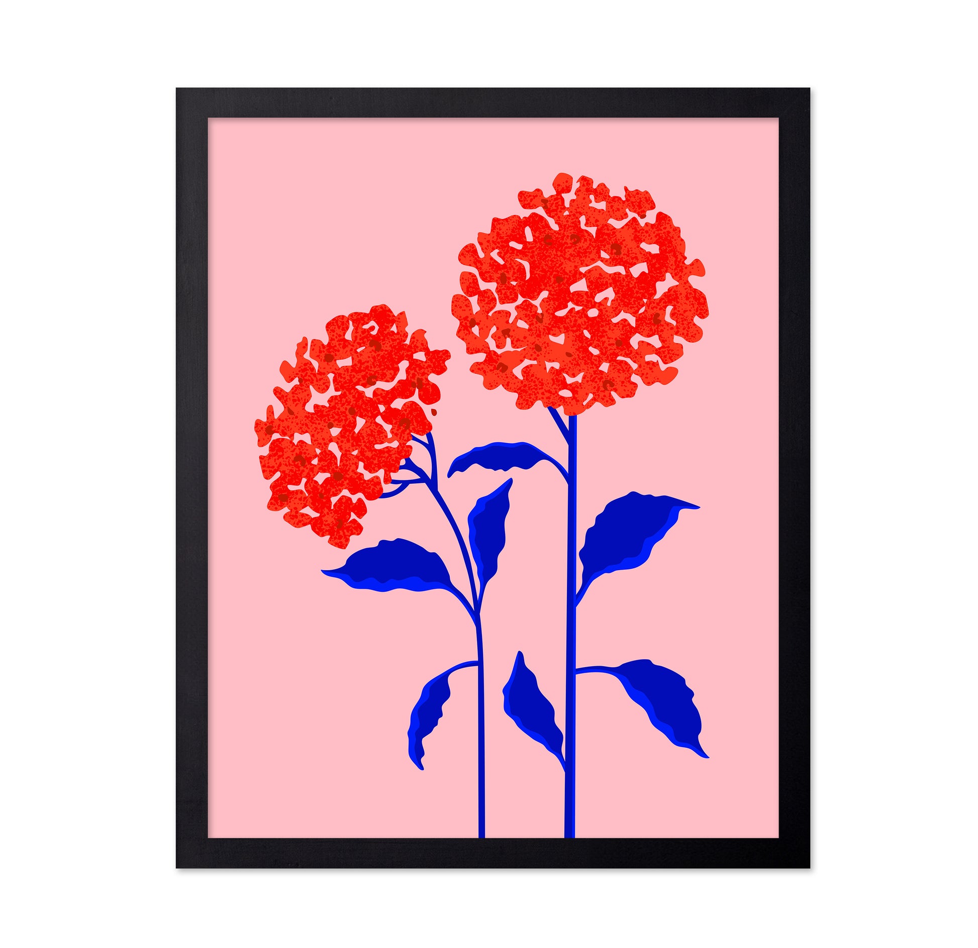 Orange Blossoms