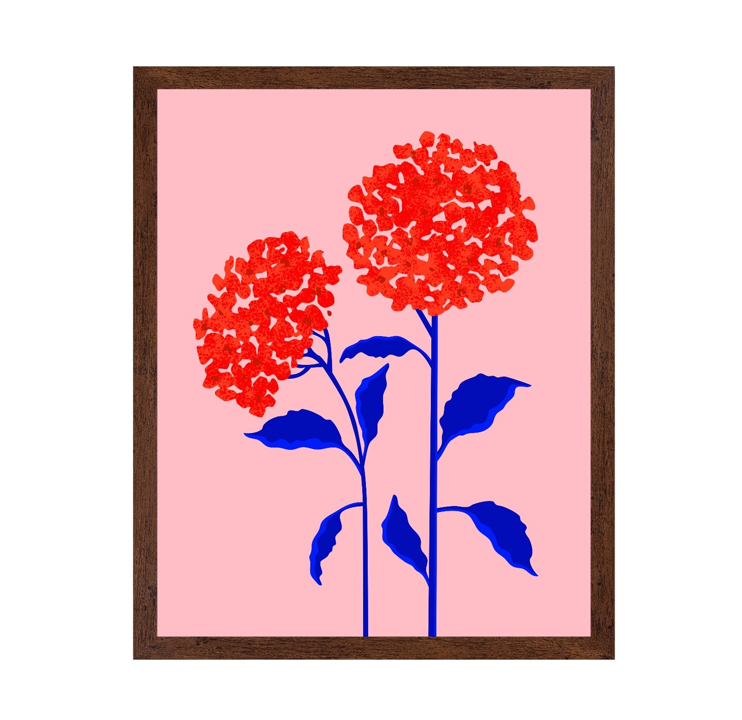 Orange Blossoms