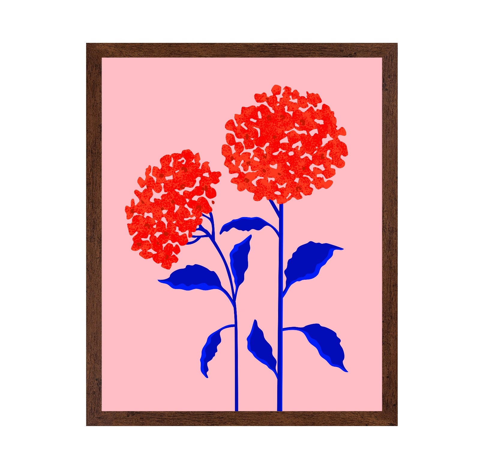 Orange Blossoms