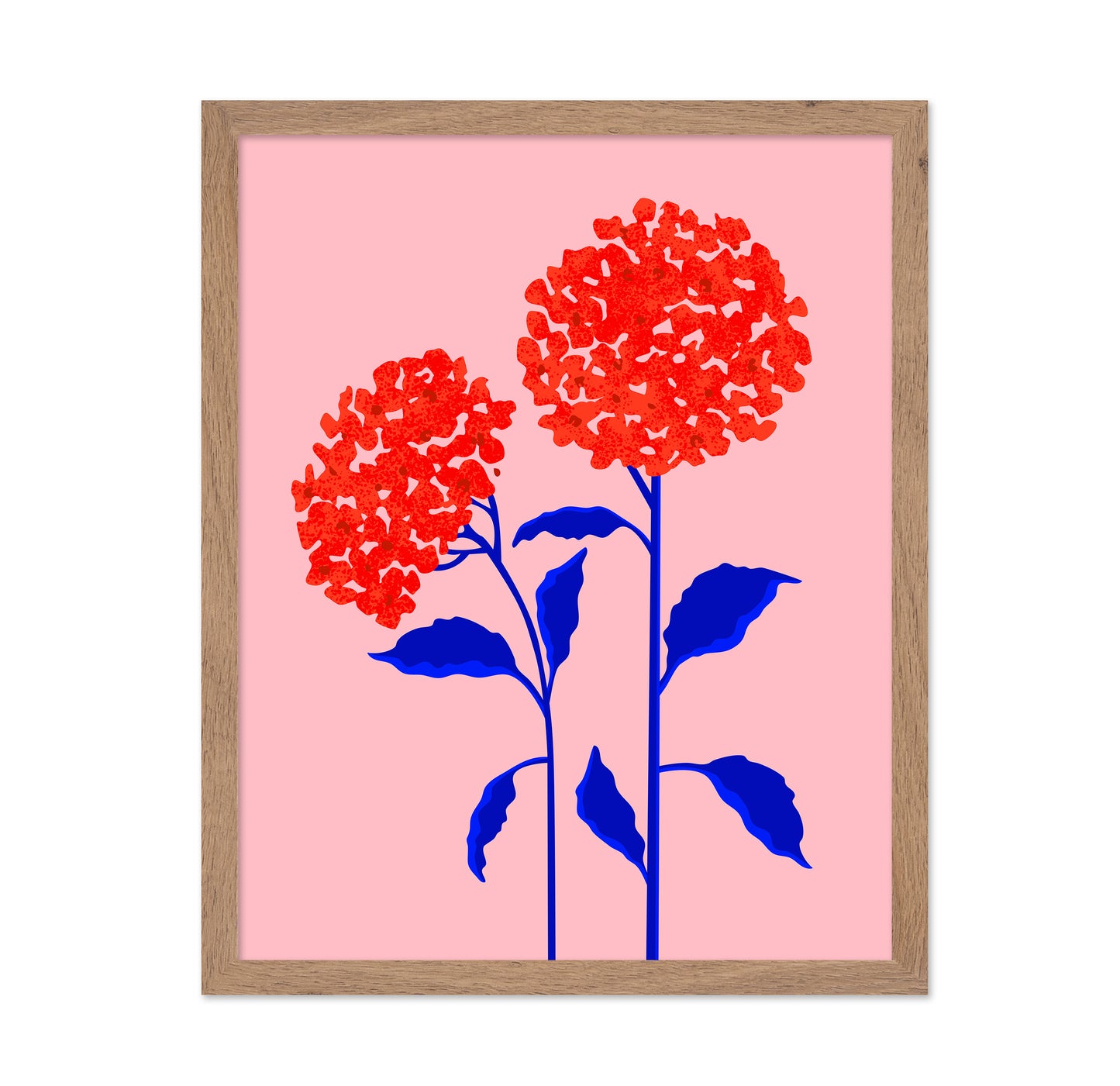 Orange Blossoms