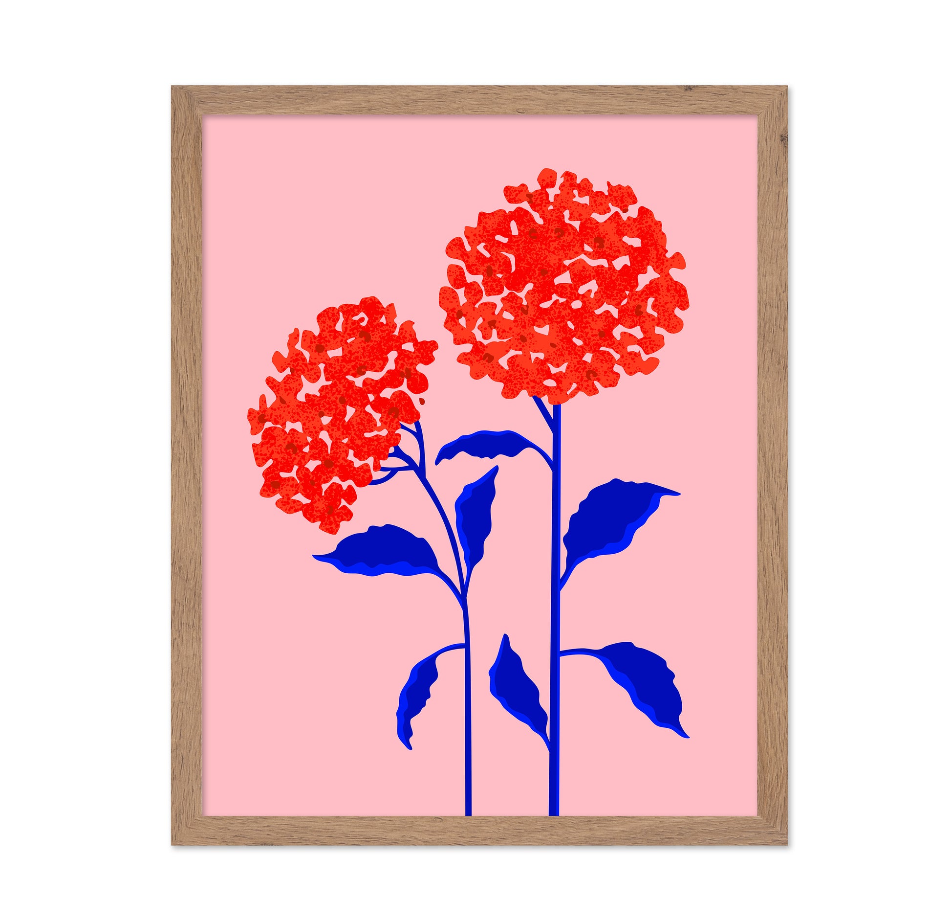 Orange Blossoms
