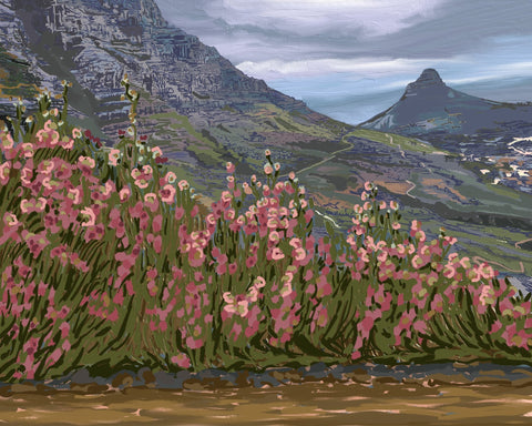 Petals and Peaks Cape Town South Africa