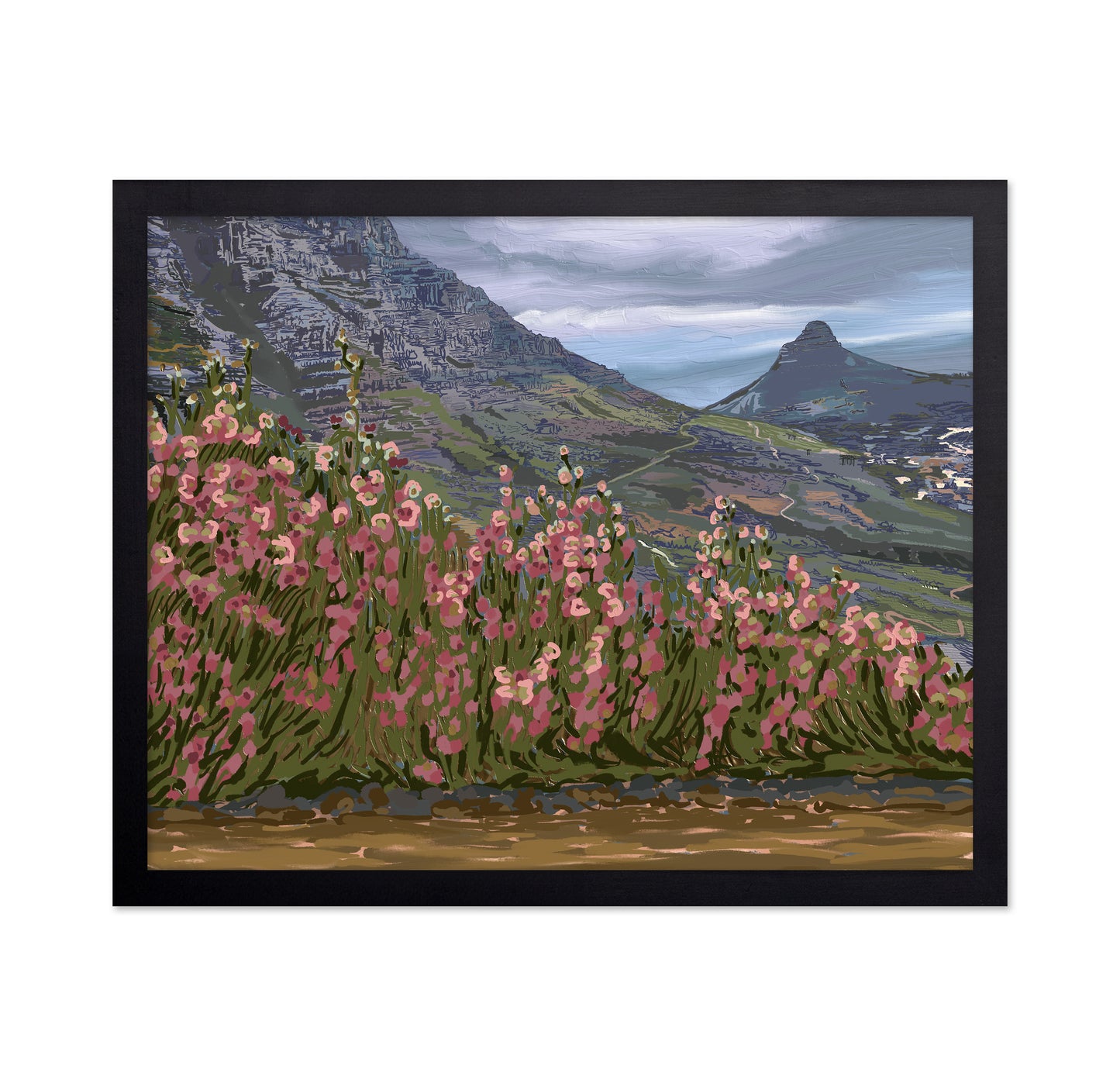 Petals and Peaks Cape Town South Africa