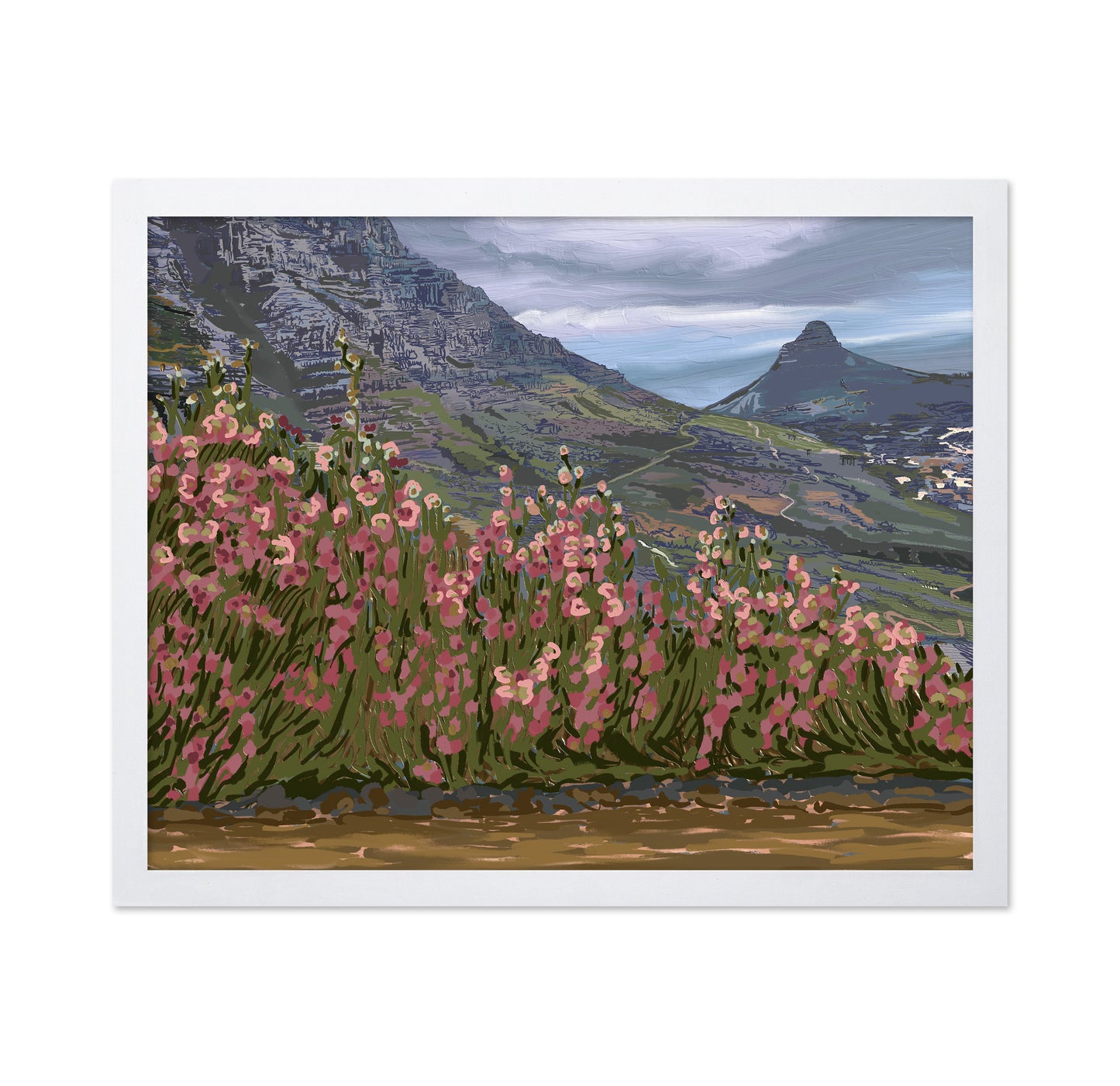 Petals and Peaks Cape Town South Africa