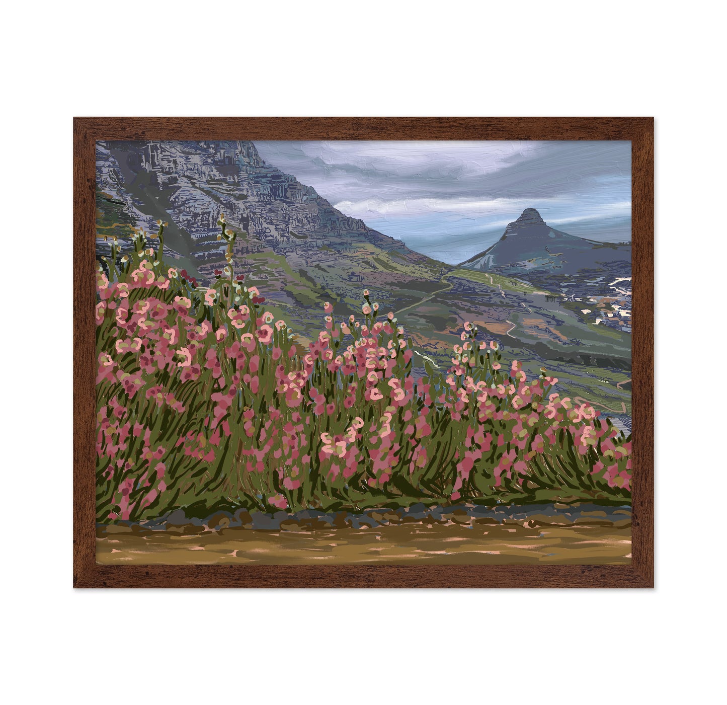 Petals and Peaks Cape Town South Africa