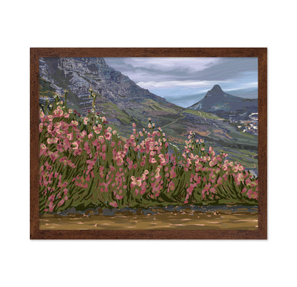 Petals and Peaks Cape Town South Africa