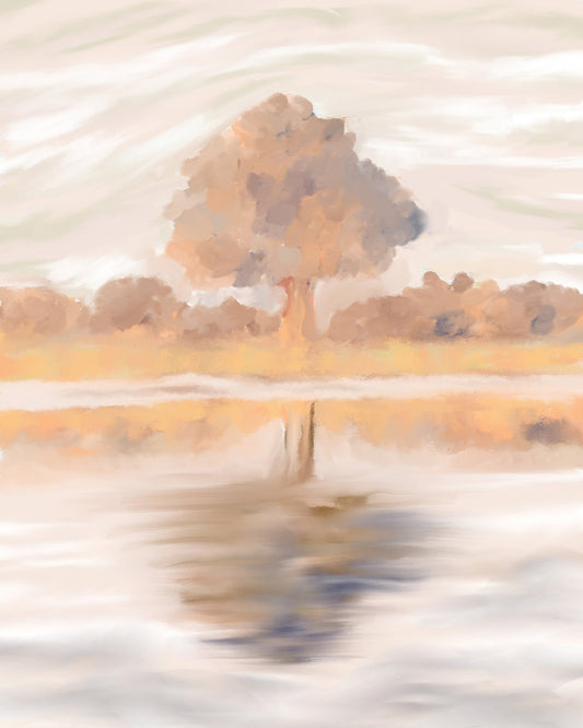 Sovereign Reflections of the Jackalberry Tree
