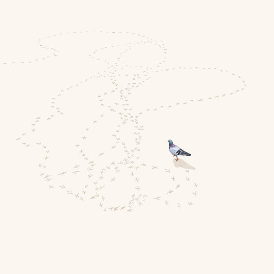 Going Nowhere