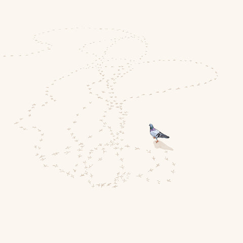 Going Nowhere