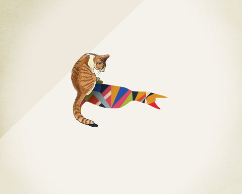 Walking Shadow Cat
