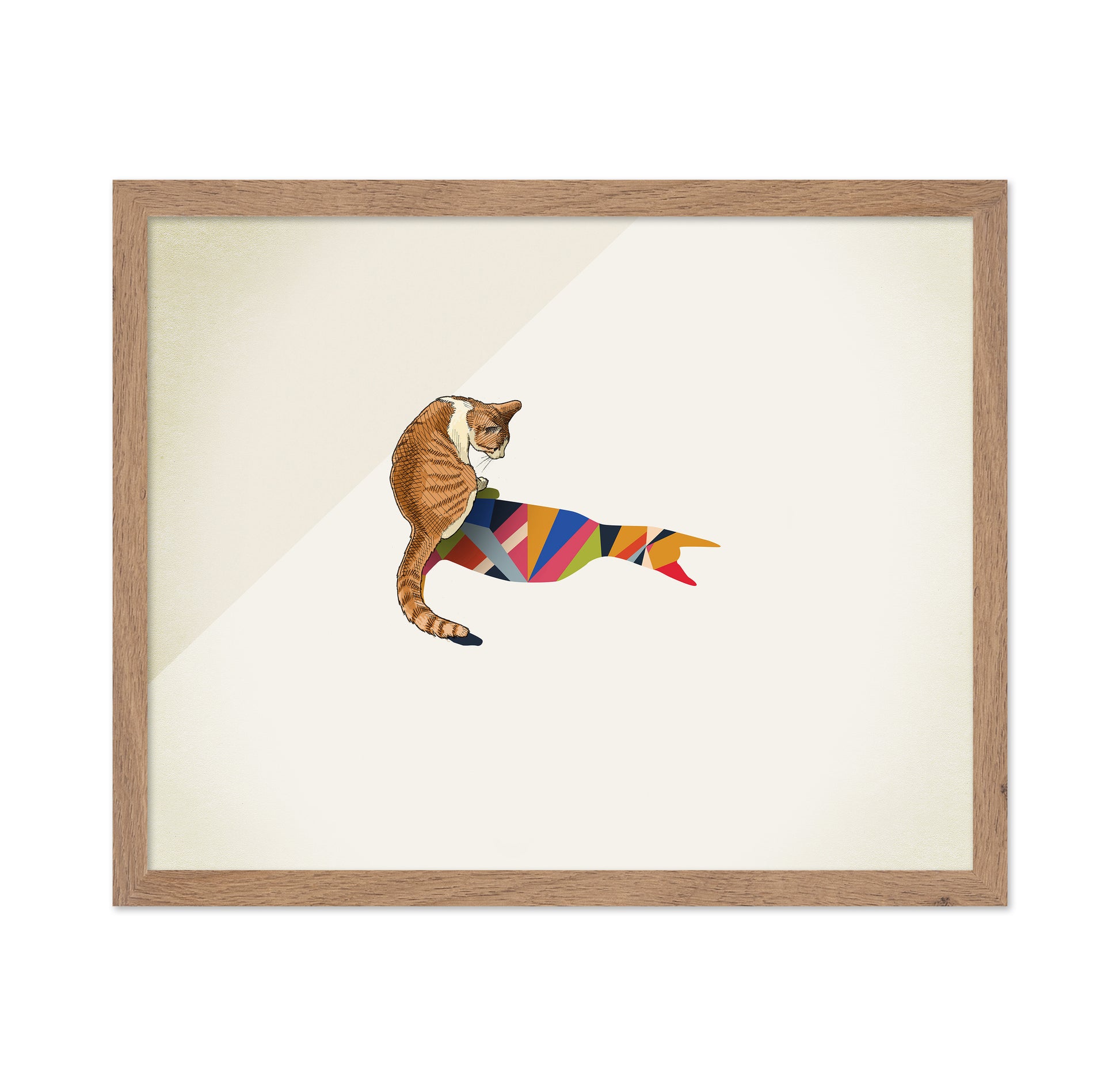 Walking Shadow Cat