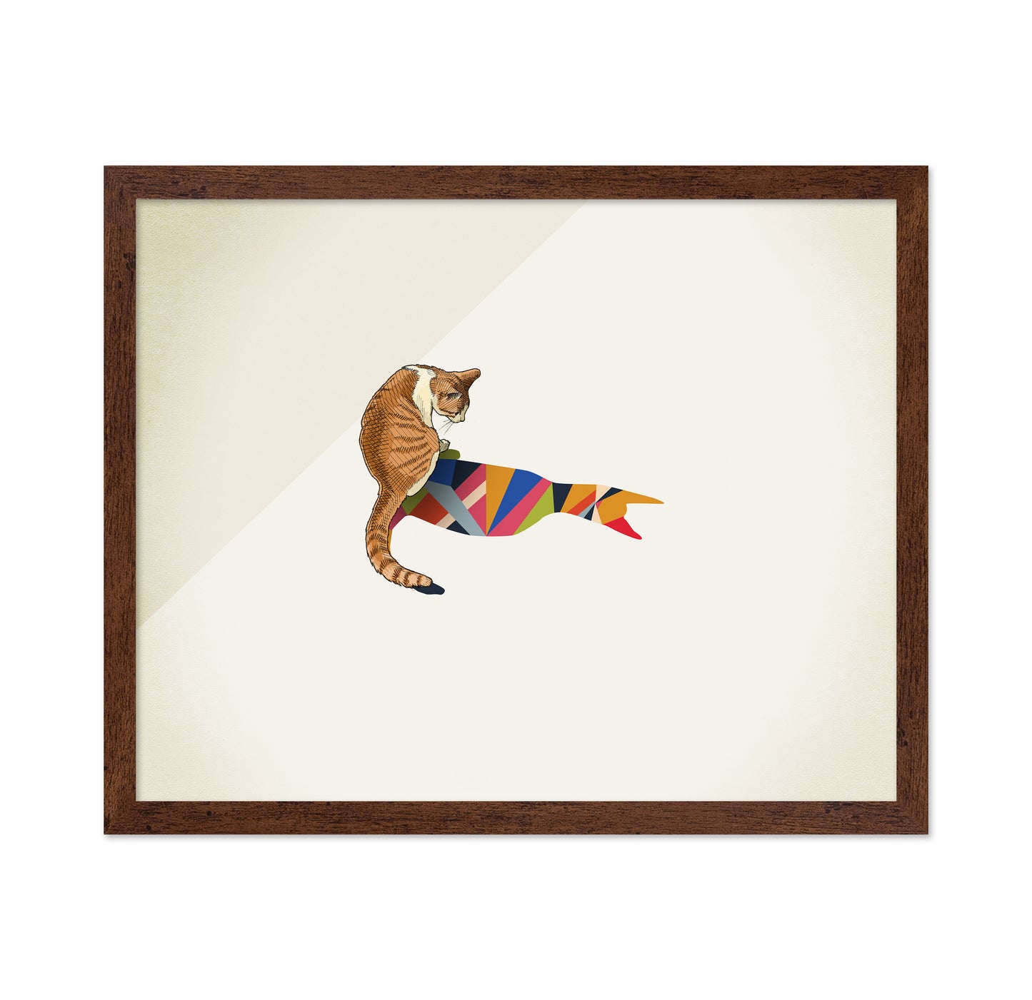 Walking Shadow Cat