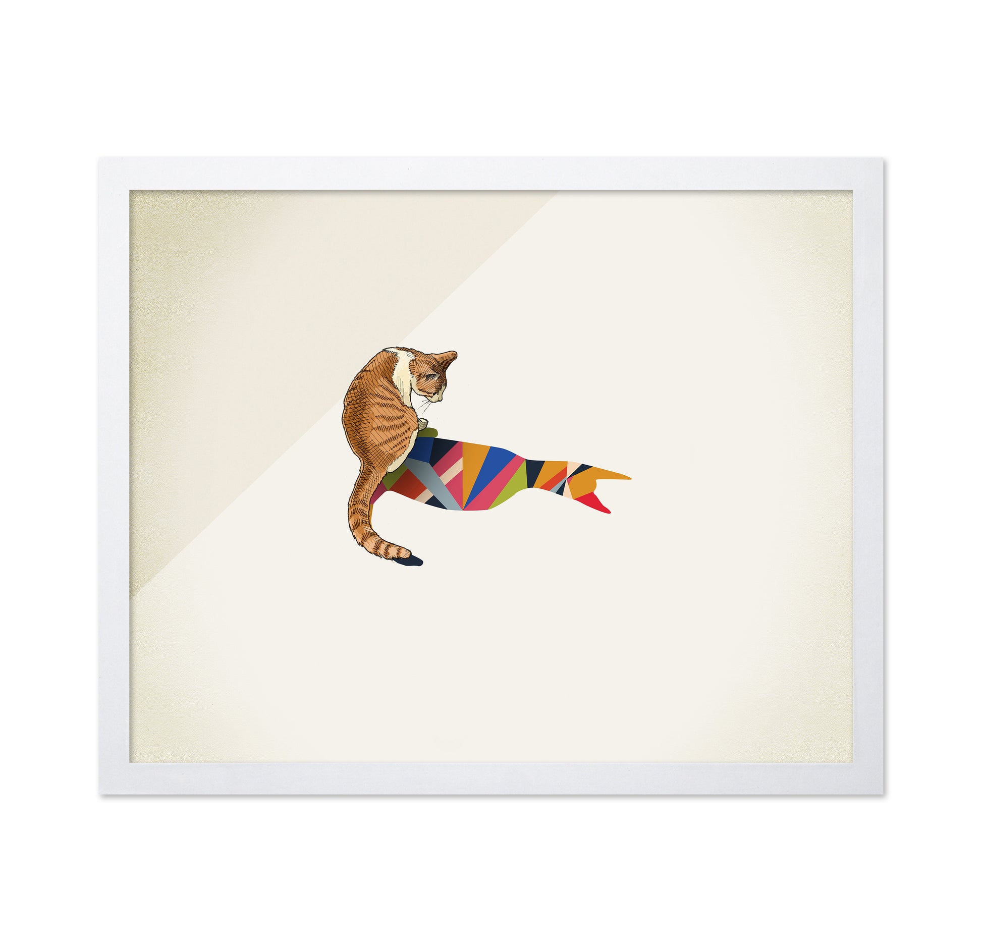 Walking Shadow Cat