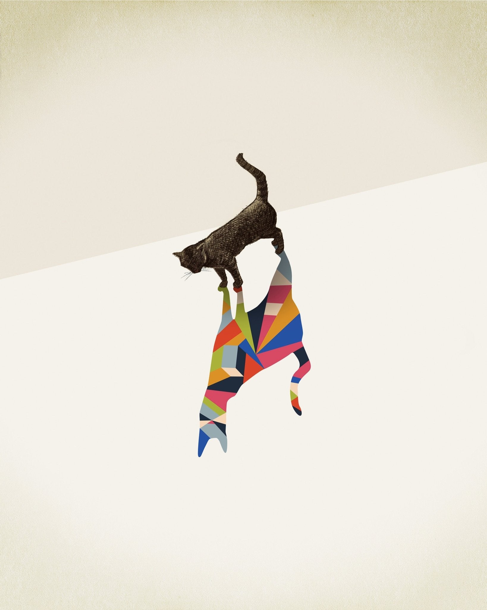 Cat in Kaleidoscope