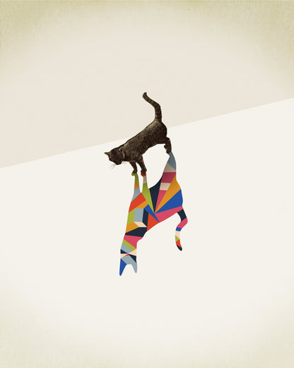 Cat in Kaleidoscope