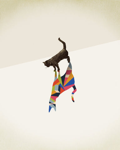 Cat in Kaleidoscope