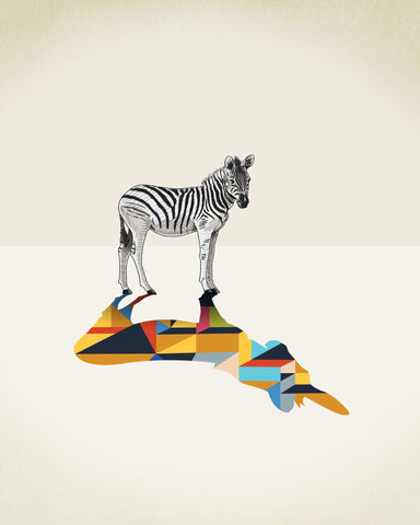 Walking Shadow Zebra
