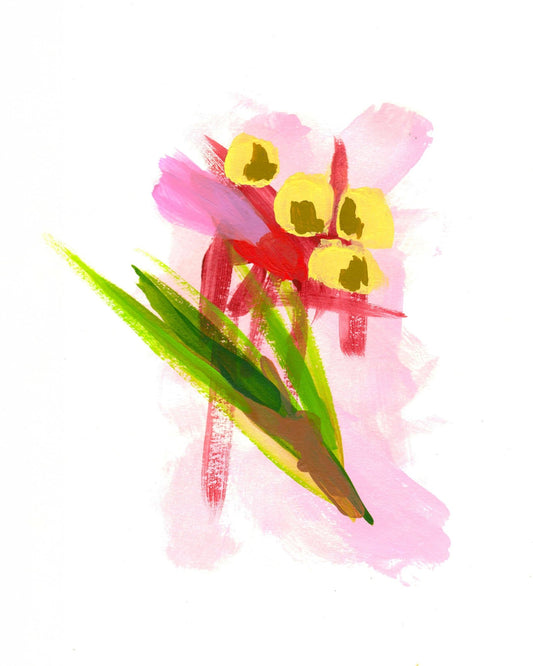 Orchid Hot Pink