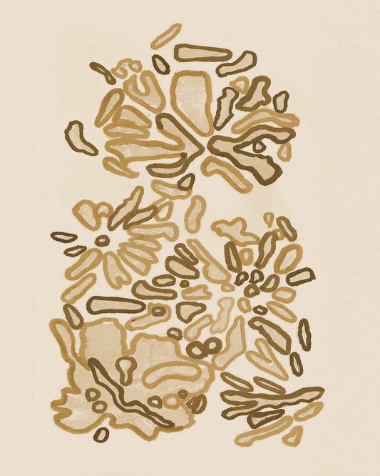 Coral Reef Tan
