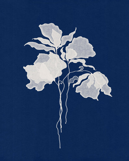 Delicate White Flower No 2
