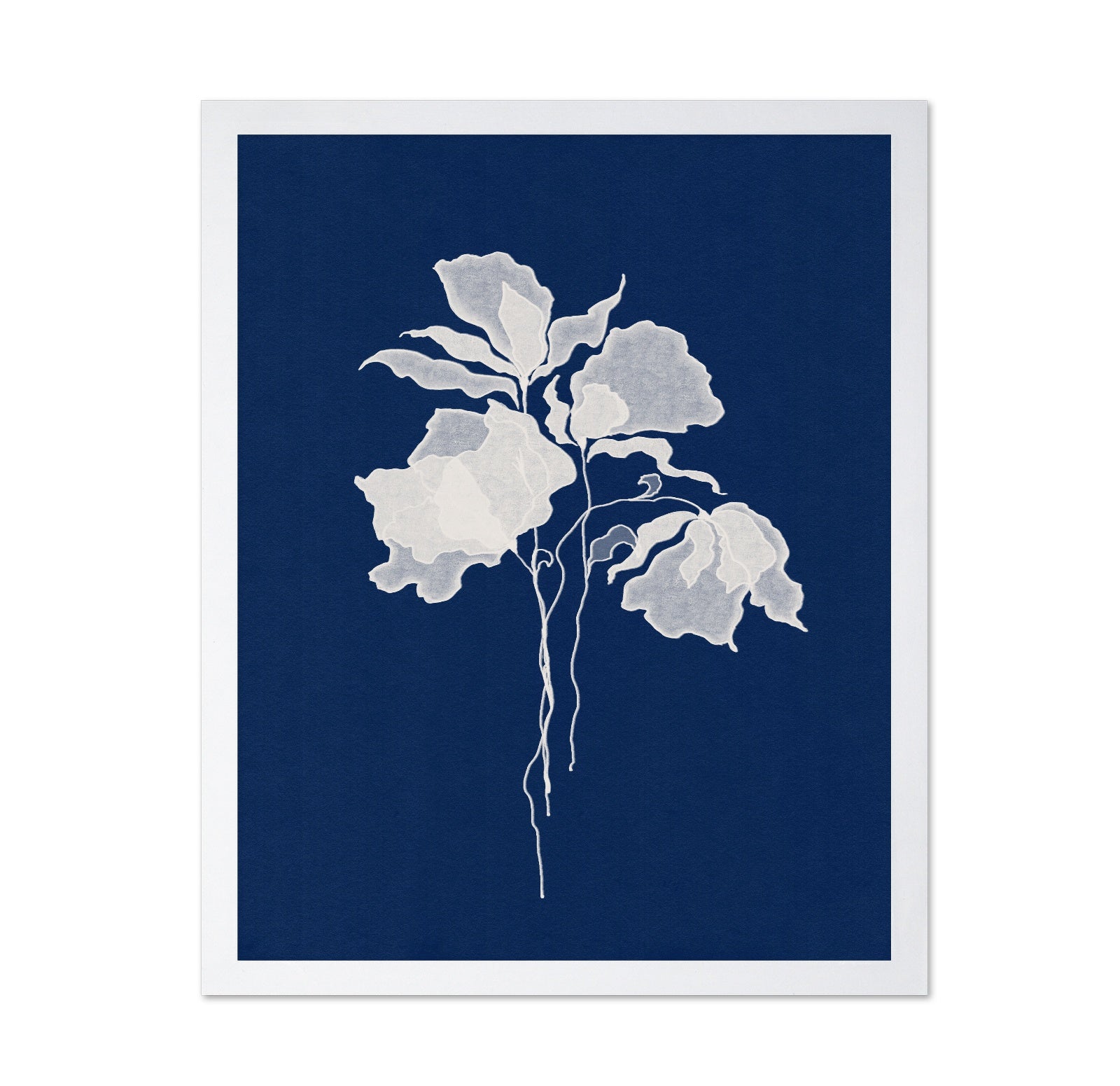 Delicate White Flower No 2