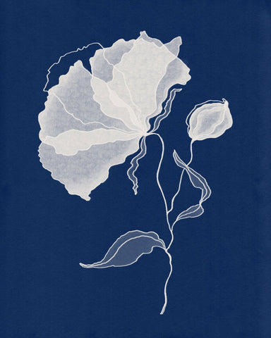 Delicate White Flower No 1