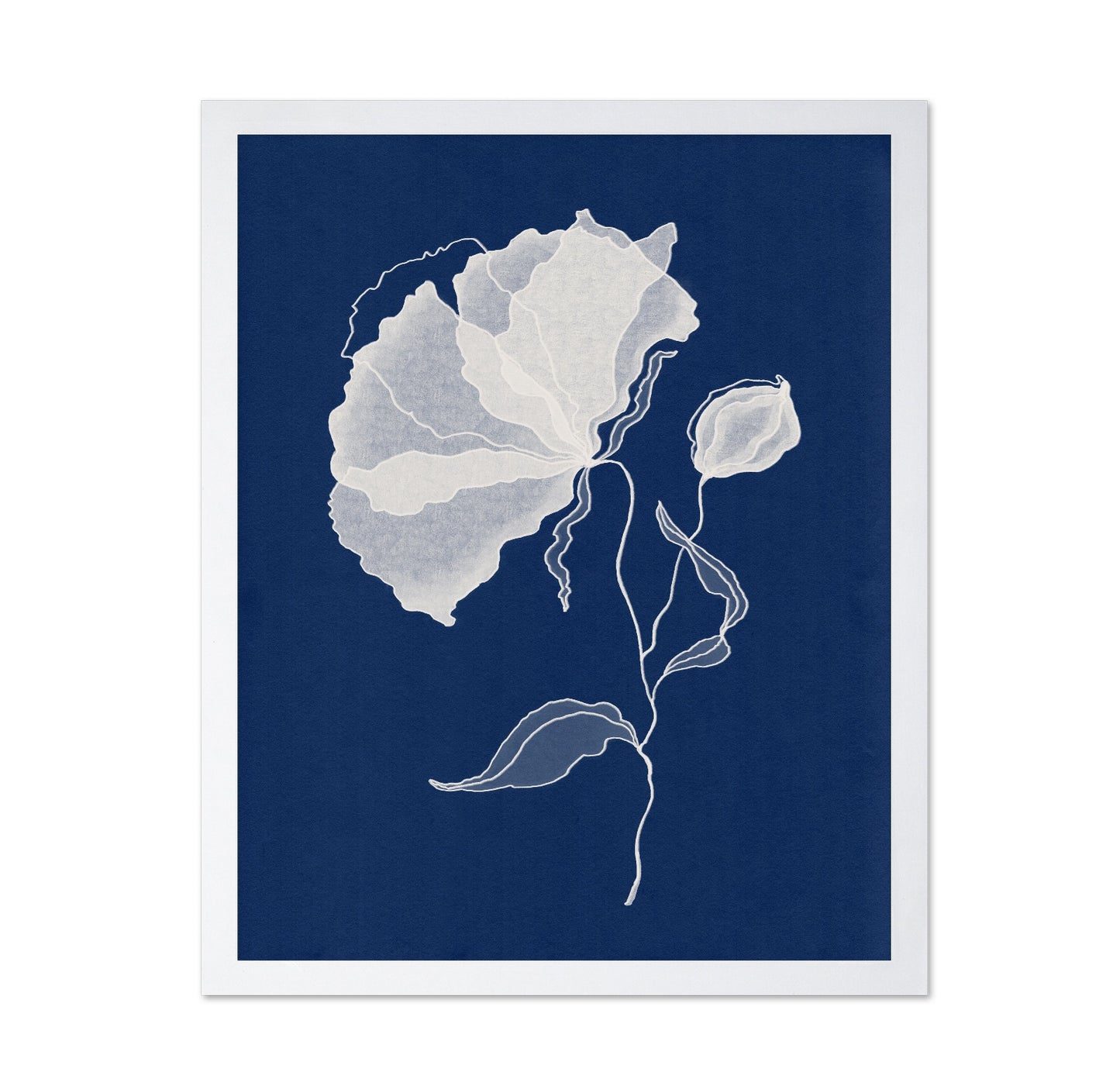 Delicate White Flower No 1