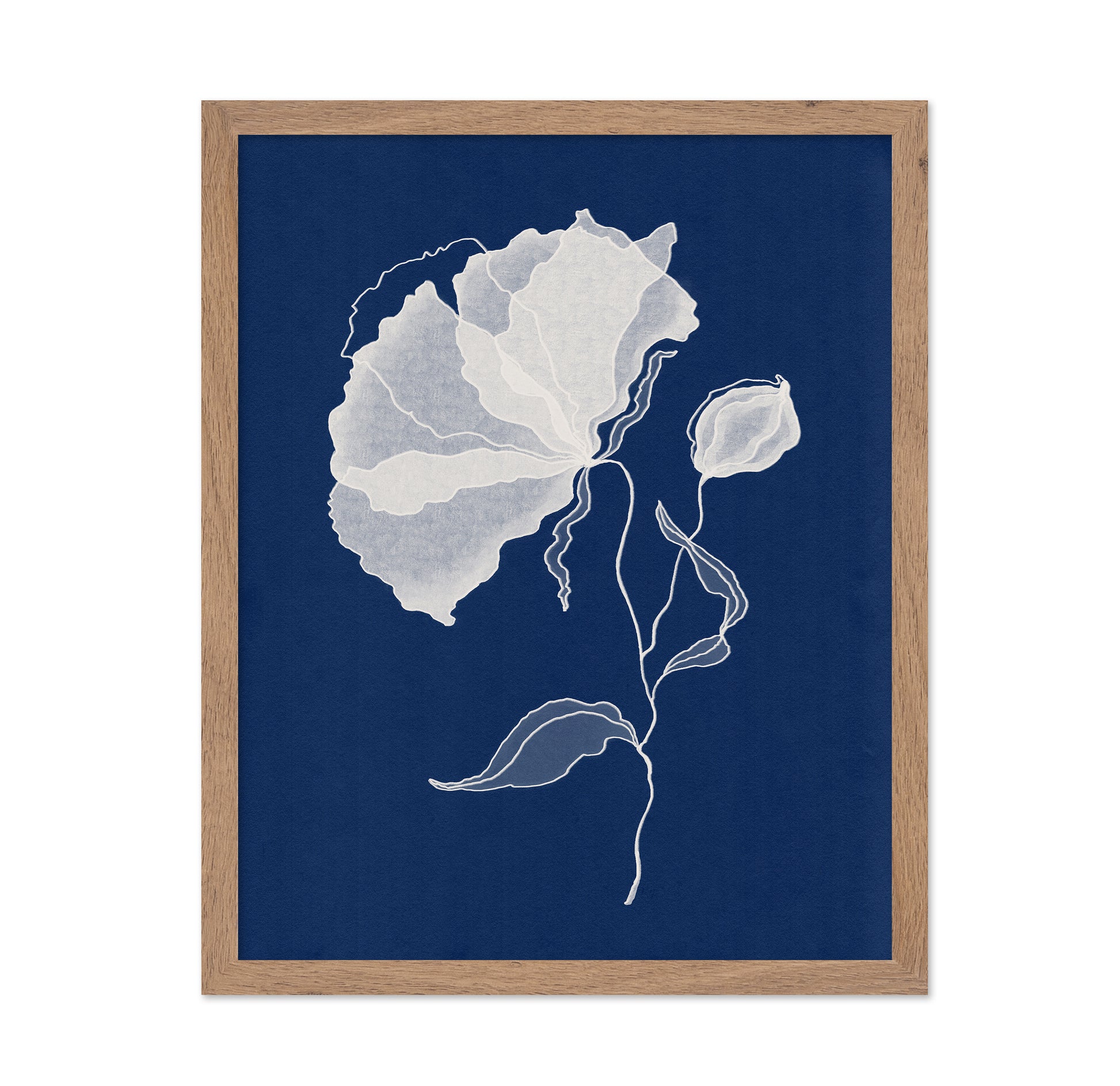 Delicate White Flower No 1