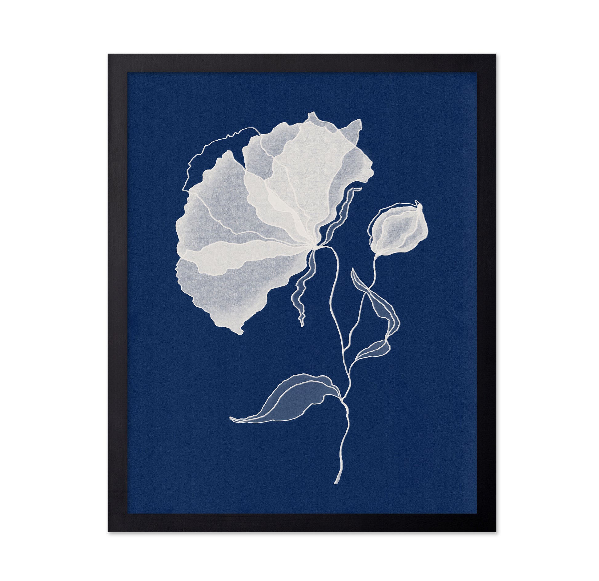 Delicate White Flower No 1