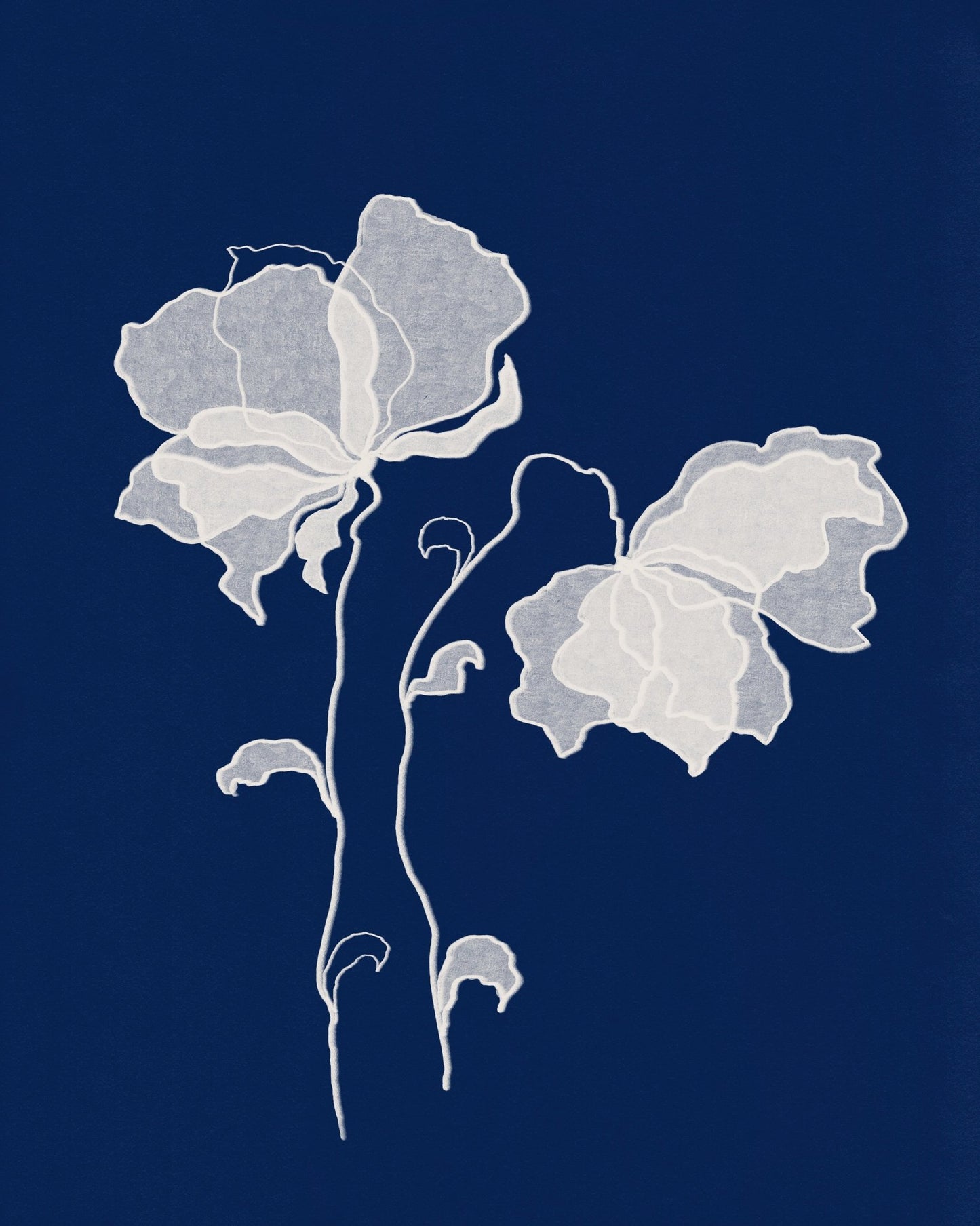Delicate White Flower No 3