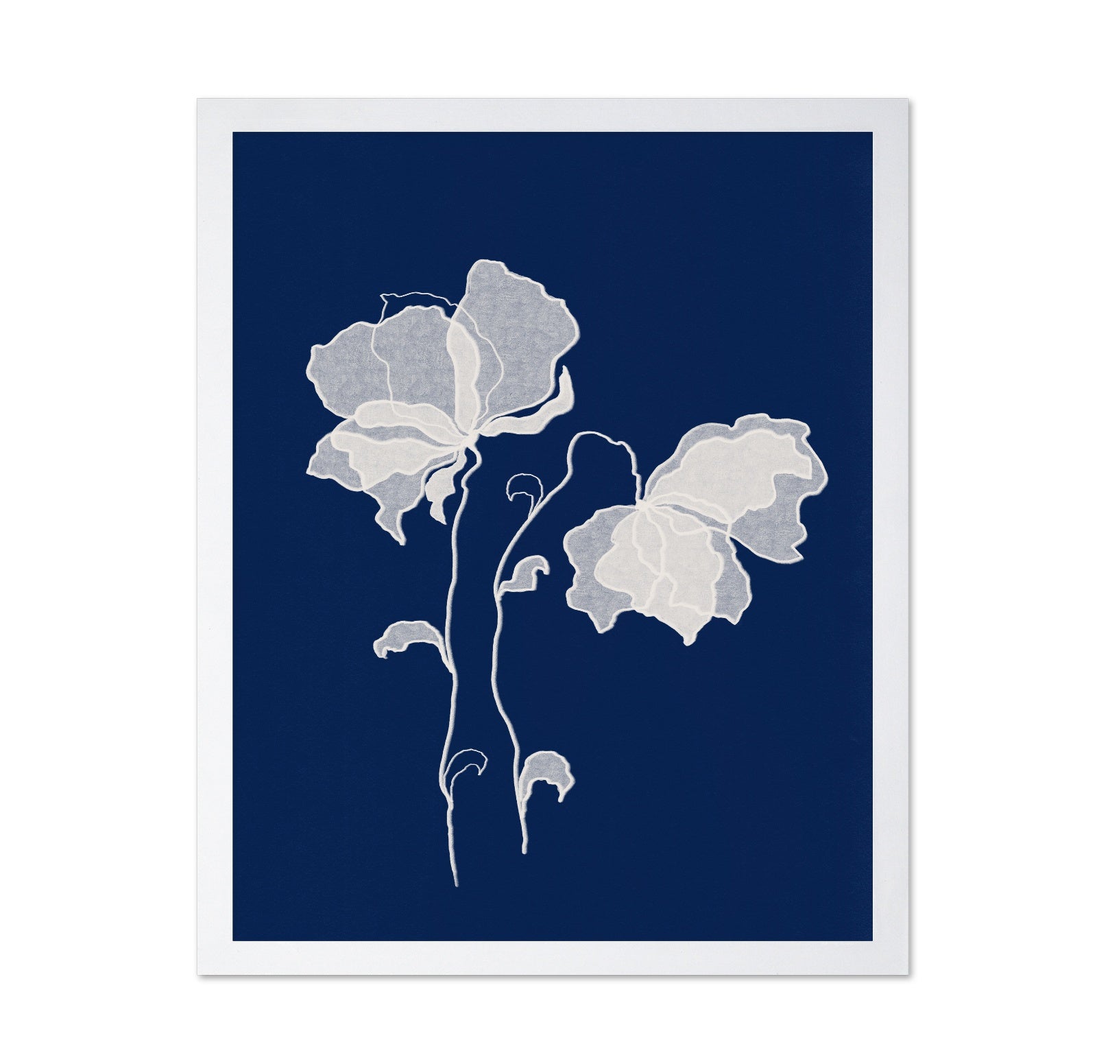 Delicate White Flower No 3