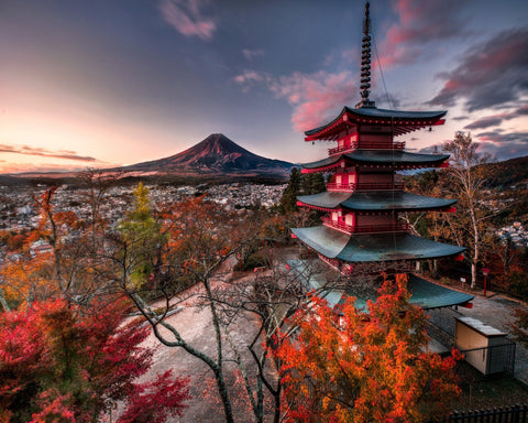Mount Fuji With Autumn