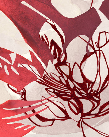 A Dance of Red and White