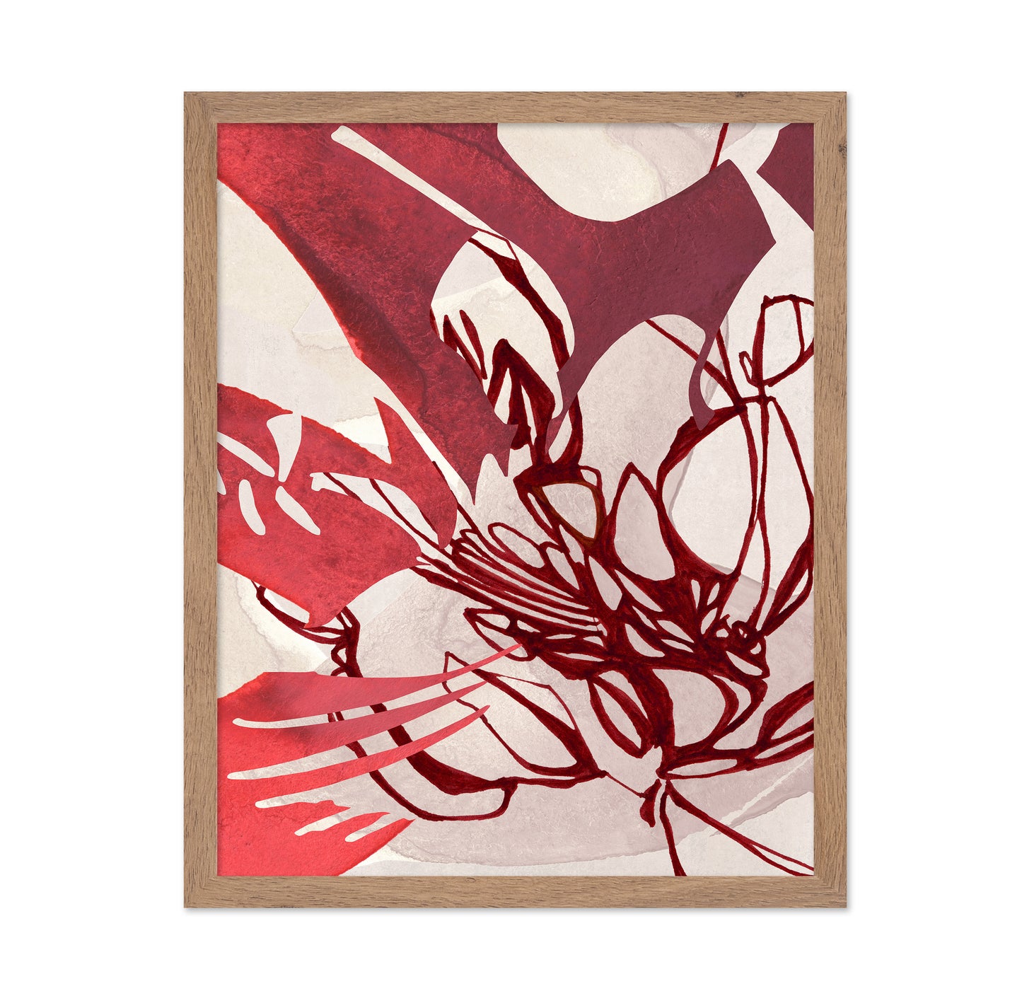A Dance of Red and White