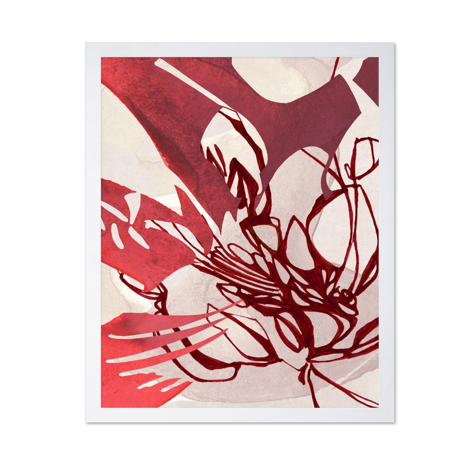 A Dance of Red and White