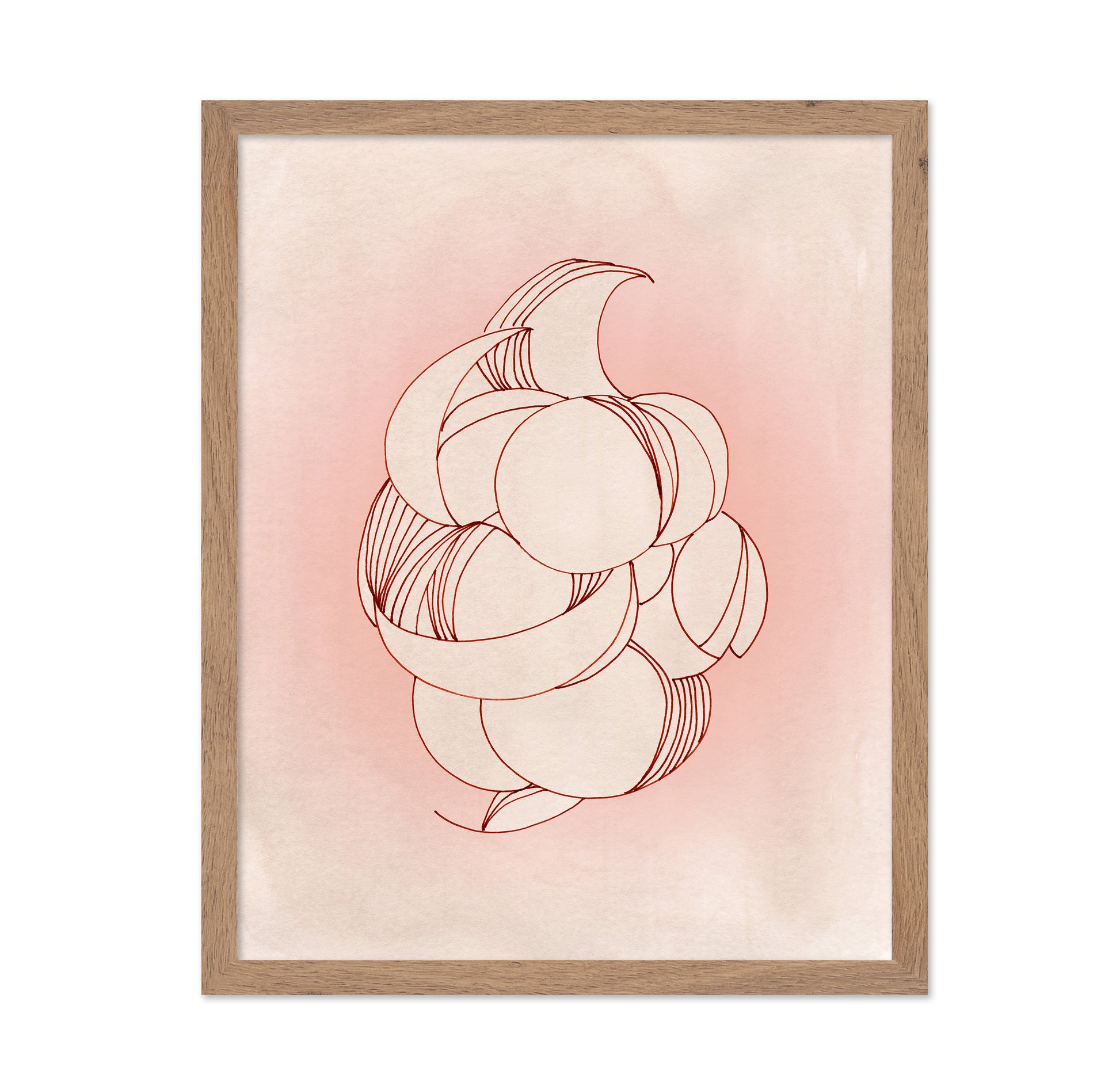 Rose Calm Elegance