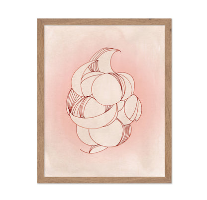 Rose Calm Elegance