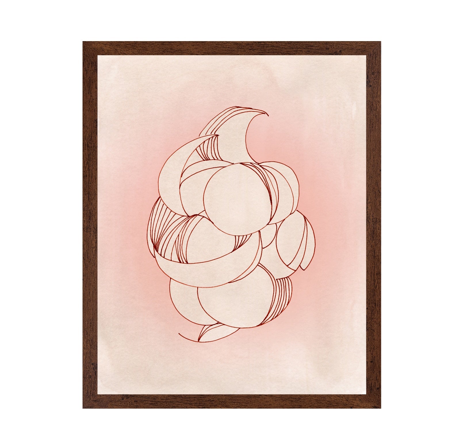 Rose Calm Elegance