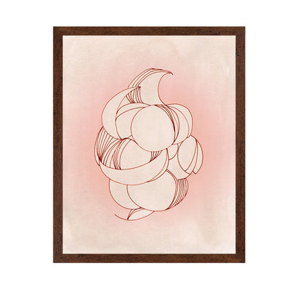 Rose Calm Elegance
