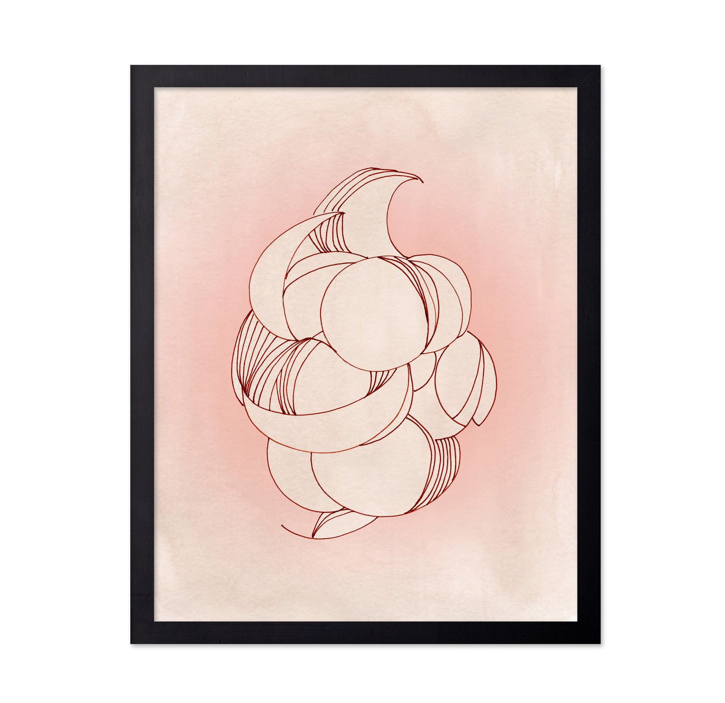 Rose Calm Elegance