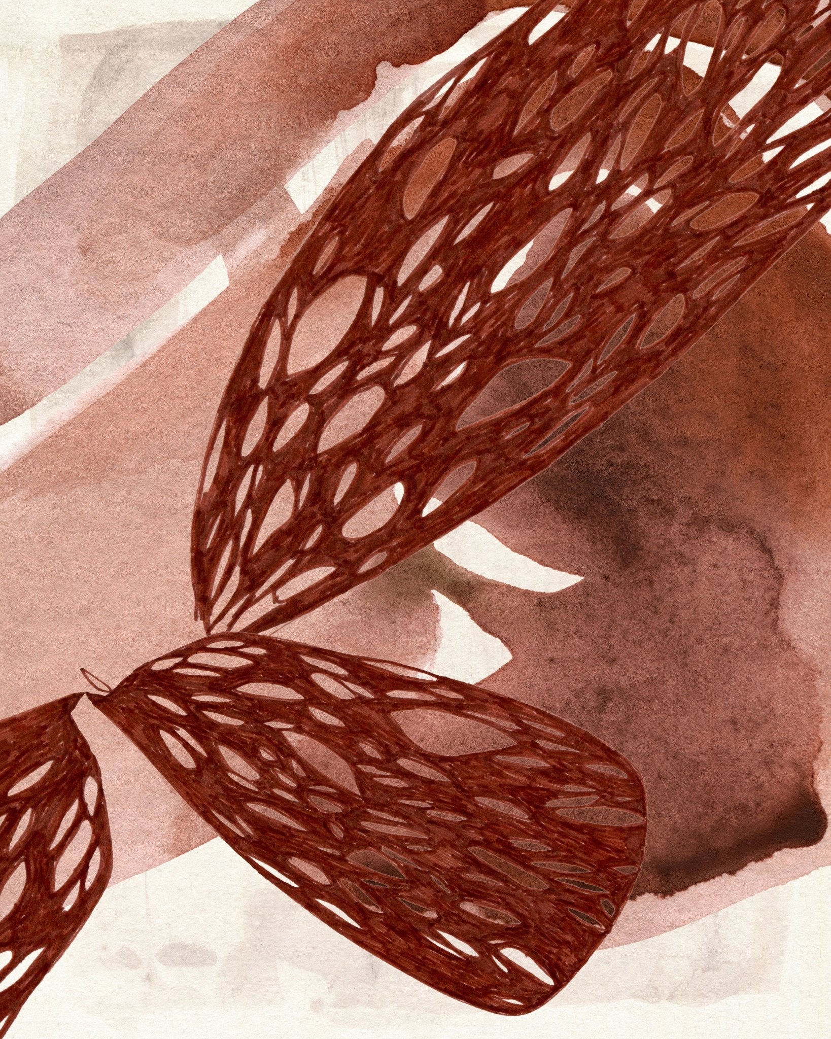 Lattice Wings
