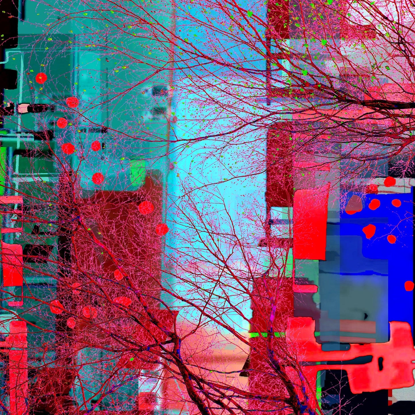 Vibrant Urban Web