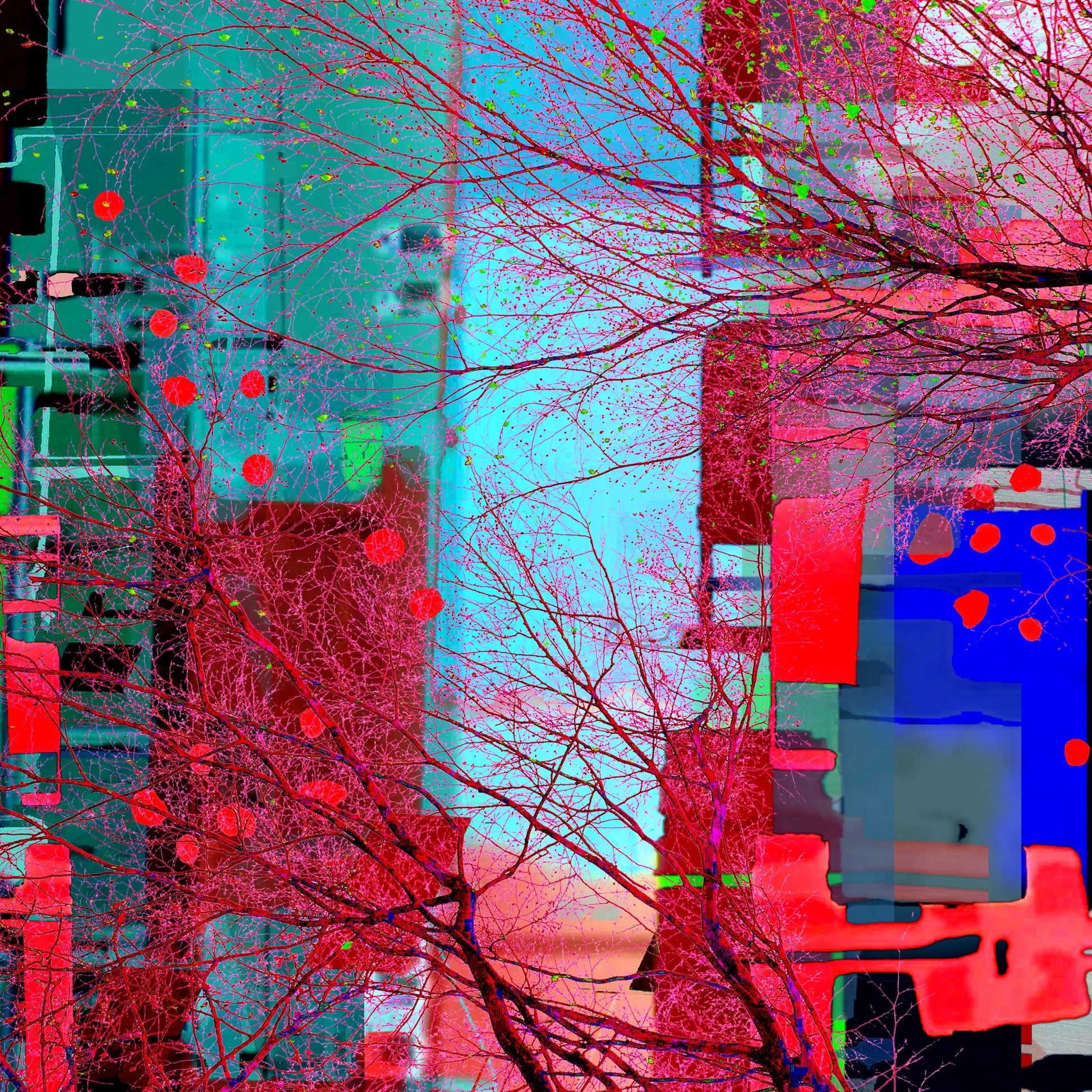 Vibrant Urban Web