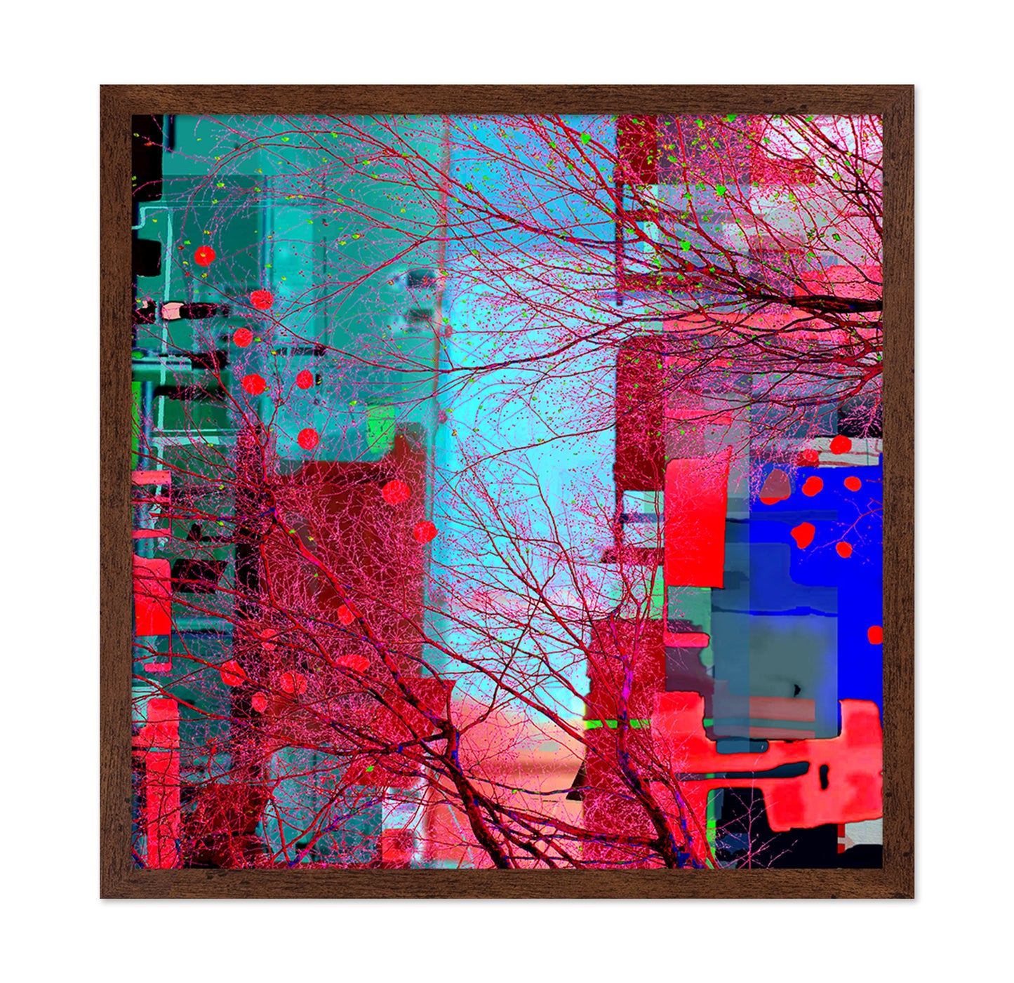 Vibrant Urban Web