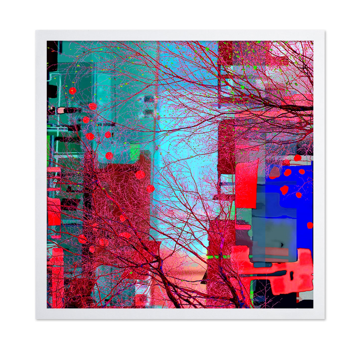 Vibrant Urban Web